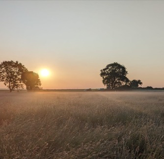 Morgendliche Szene aus der Wiese, Sonnenaufgang, Helfer im Bild