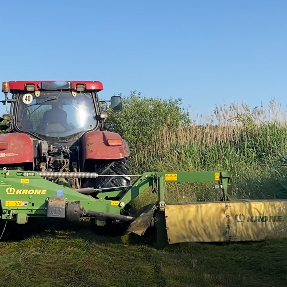 Traurige Ricke als Symbolbild für Ergbnisse der Saison